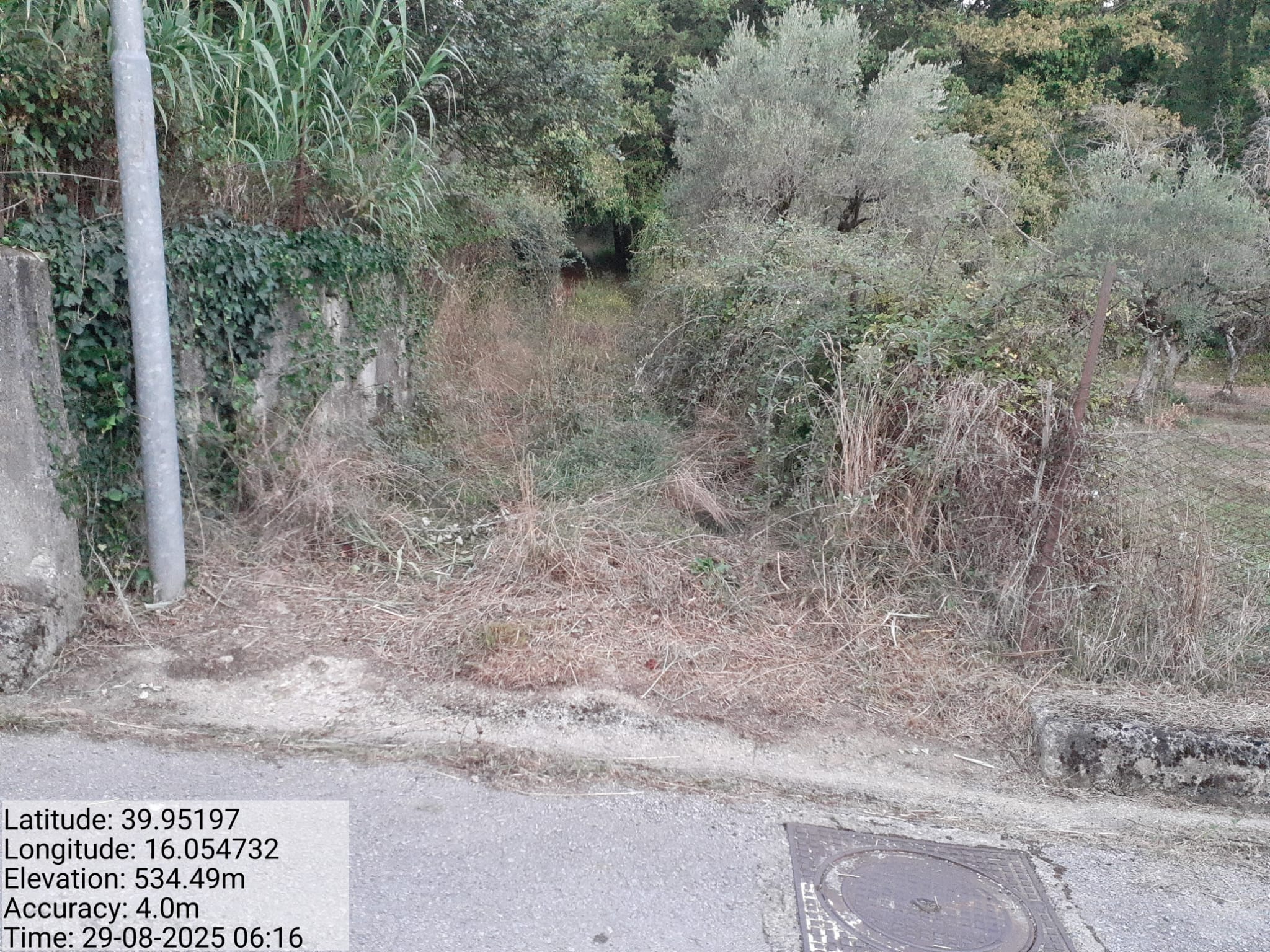 Galleria Fotografica Immagine