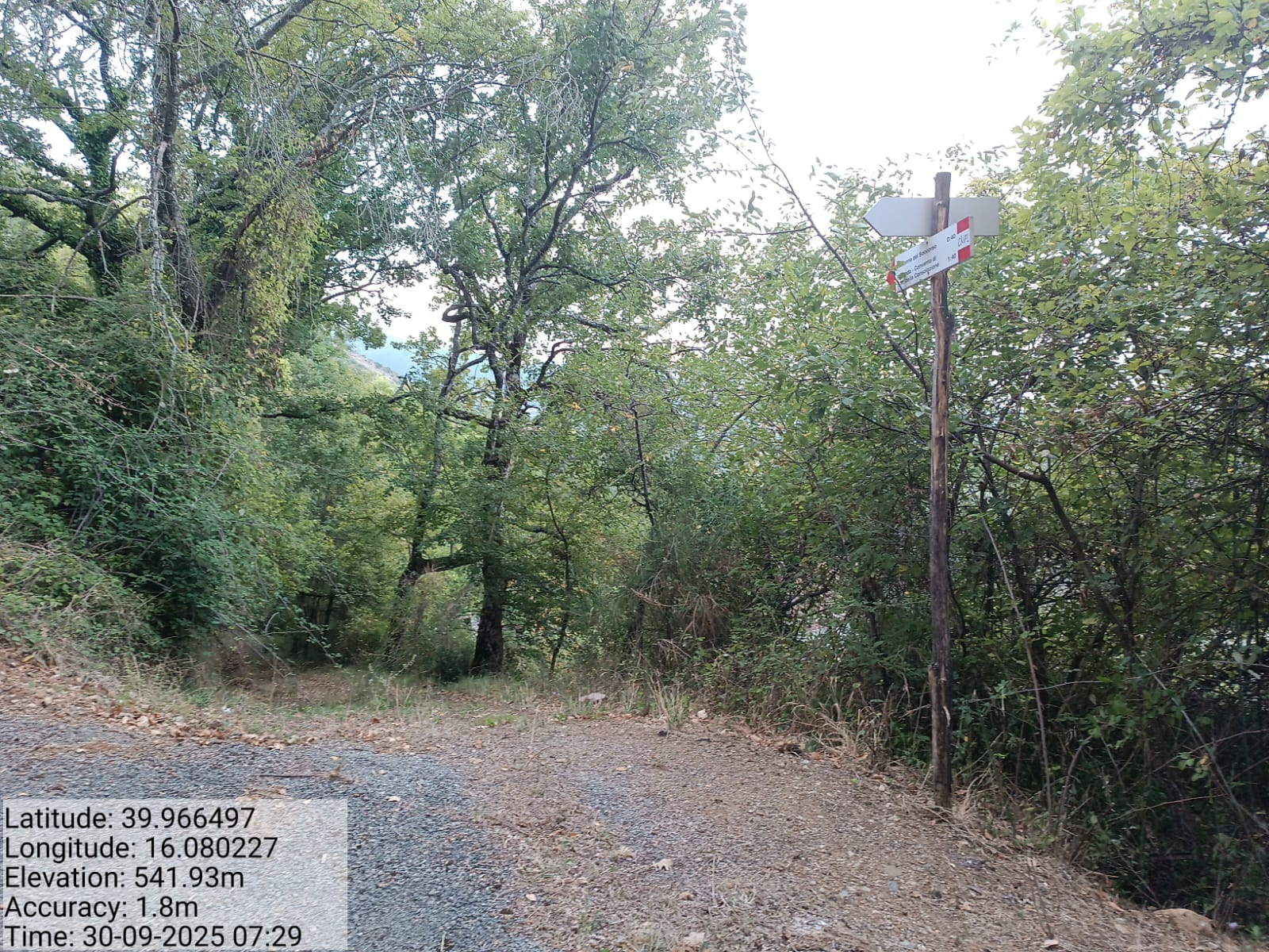 Galleria Fotografica Immagine