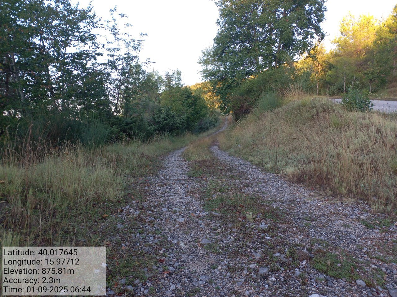 Galleria Fotografica Immagine