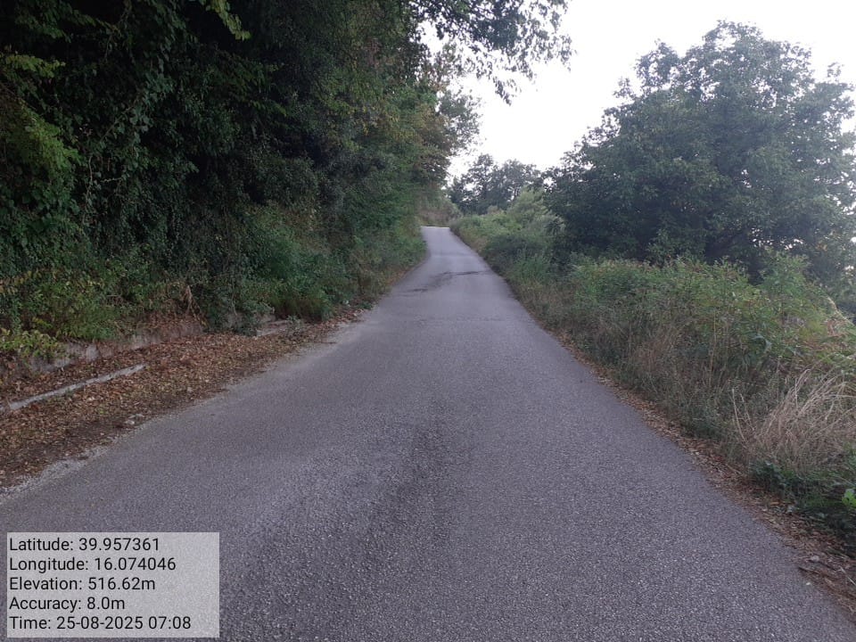 Galleria Fotografica Immagine