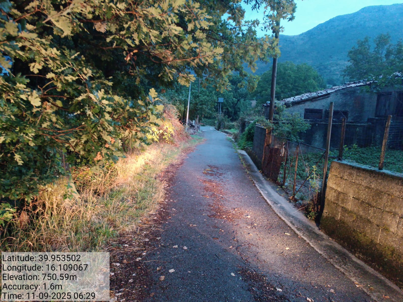 Galleria Fotografica Immagine