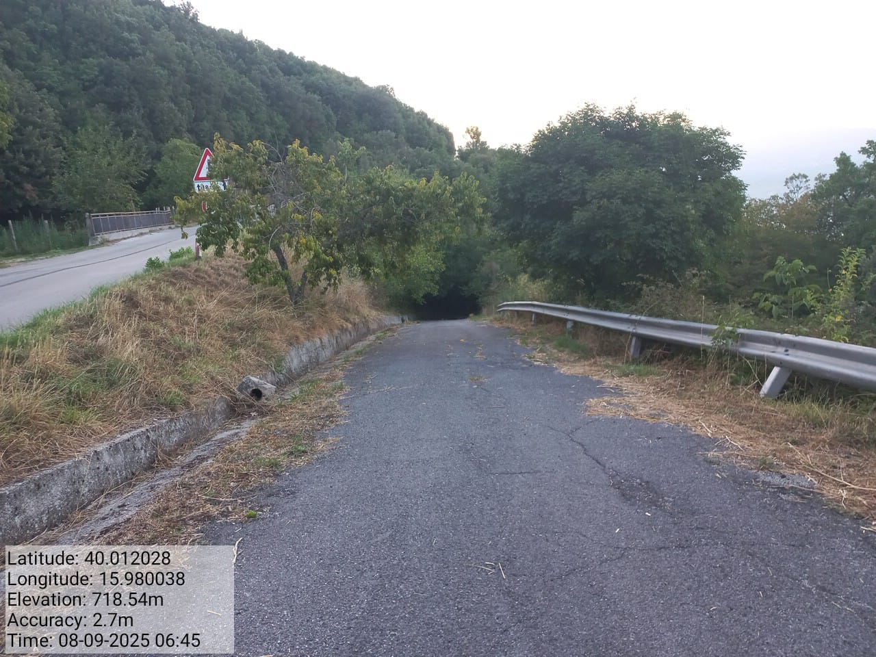 Galleria Fotografica Immagine