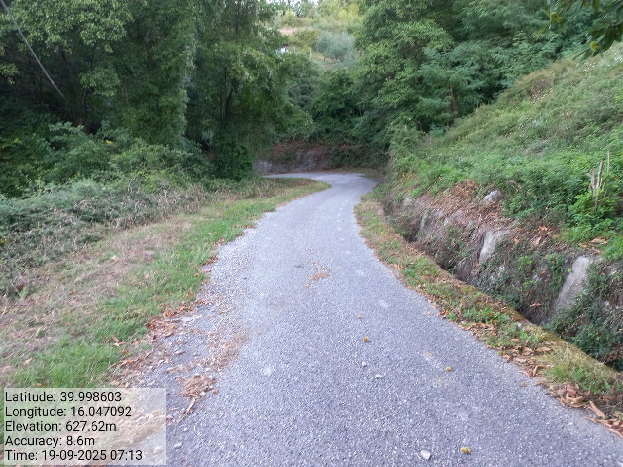 Galleria Fotografica Immagine