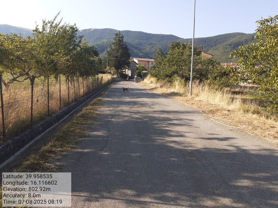 Galleria Fotografica Immagine