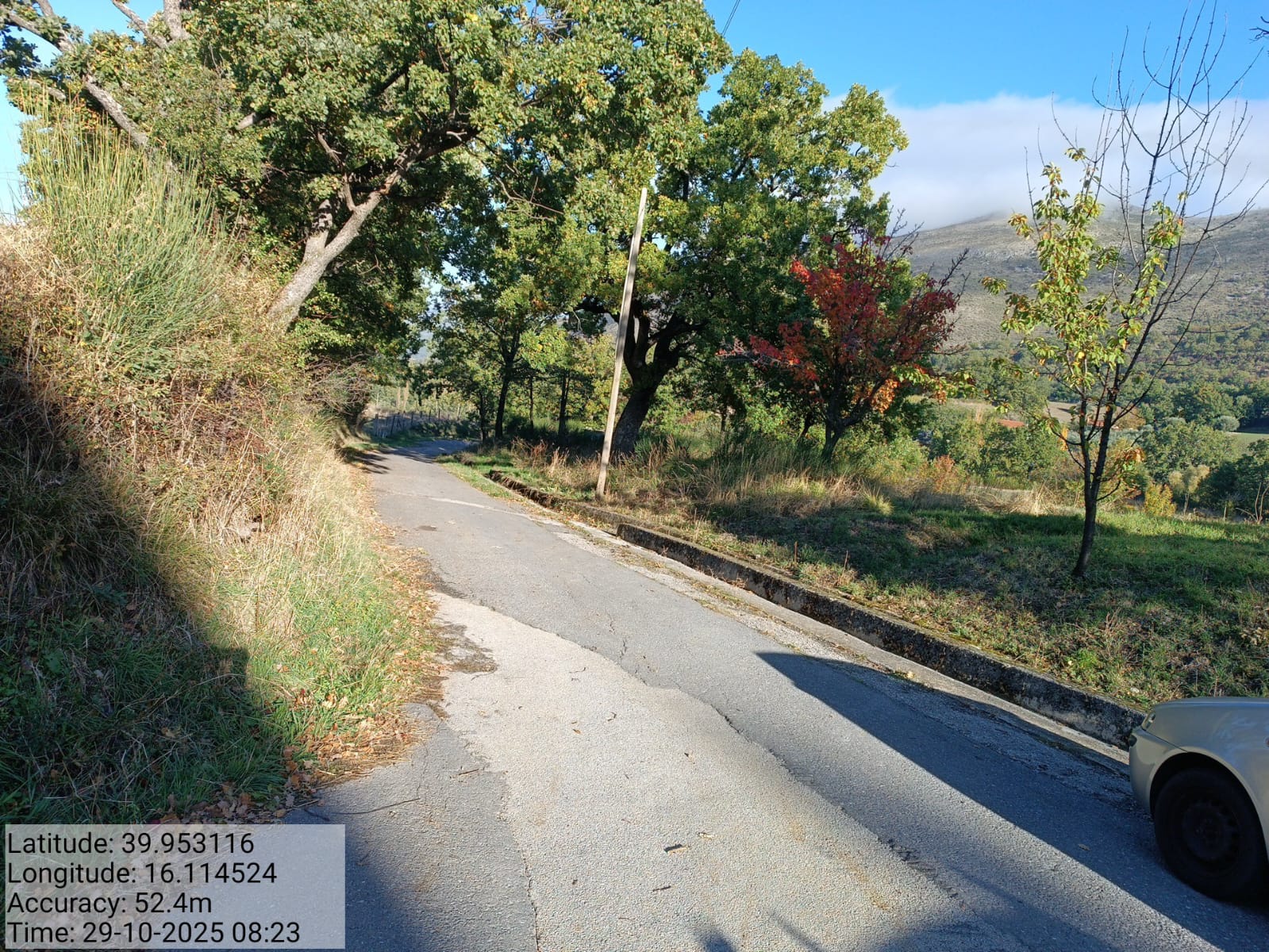 Galleria Fotografica Immagine