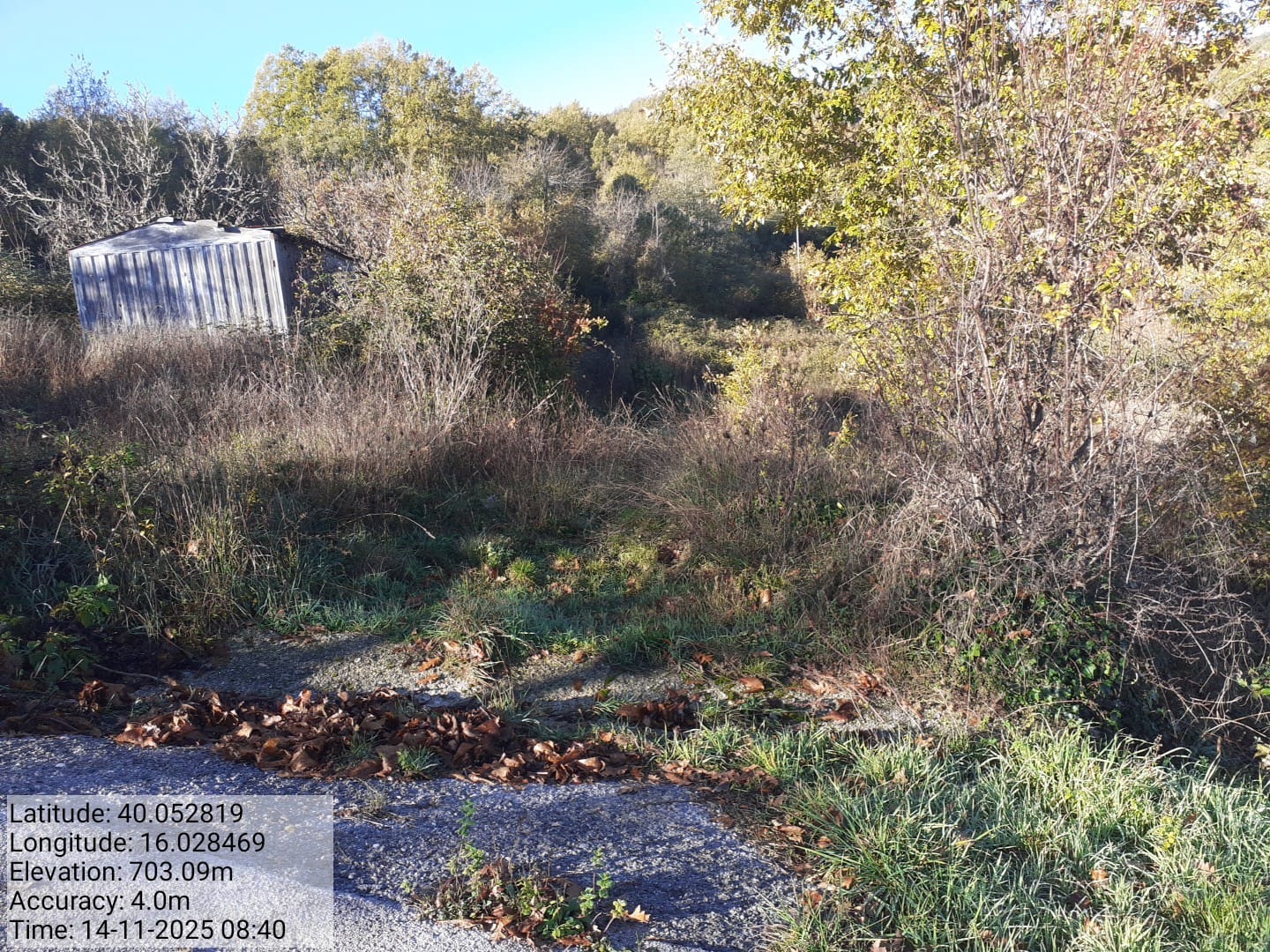 Galleria Fotografica Immagine