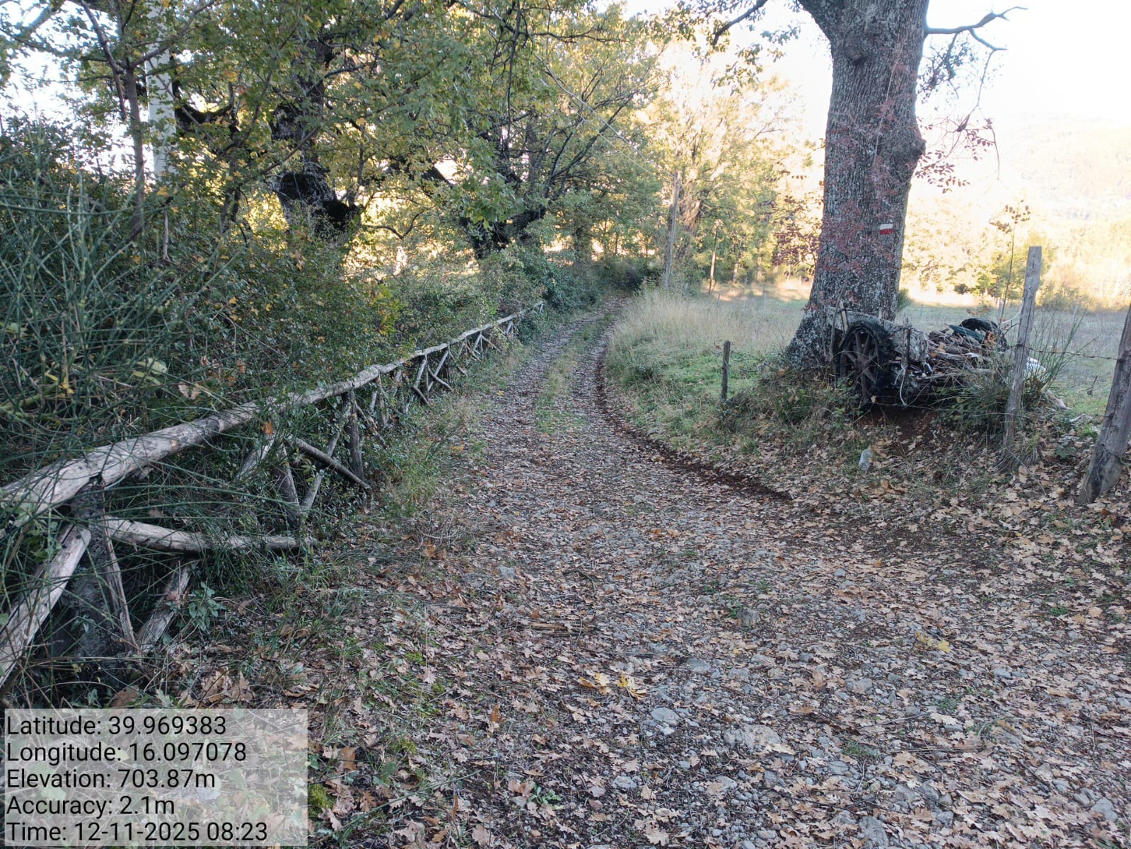 Galleria Fotografica Immagine