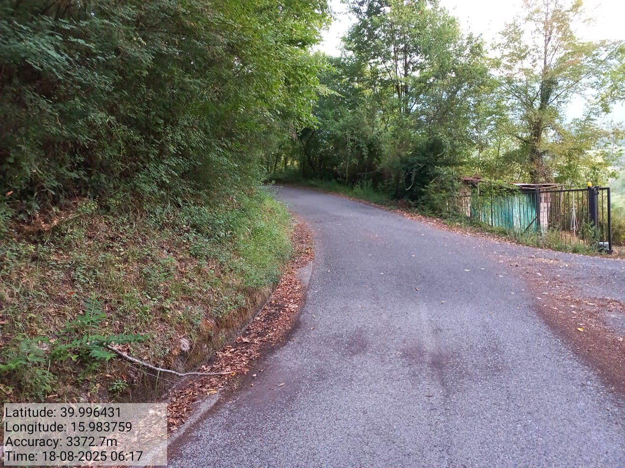 Galleria Fotografica Immagine