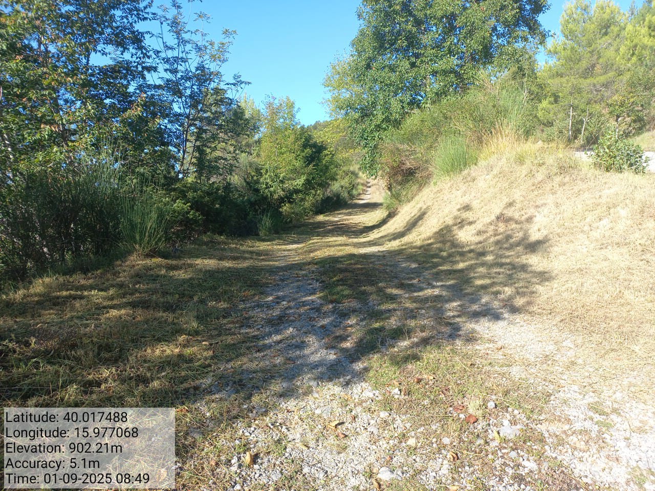 Galleria Fotografica Immagine