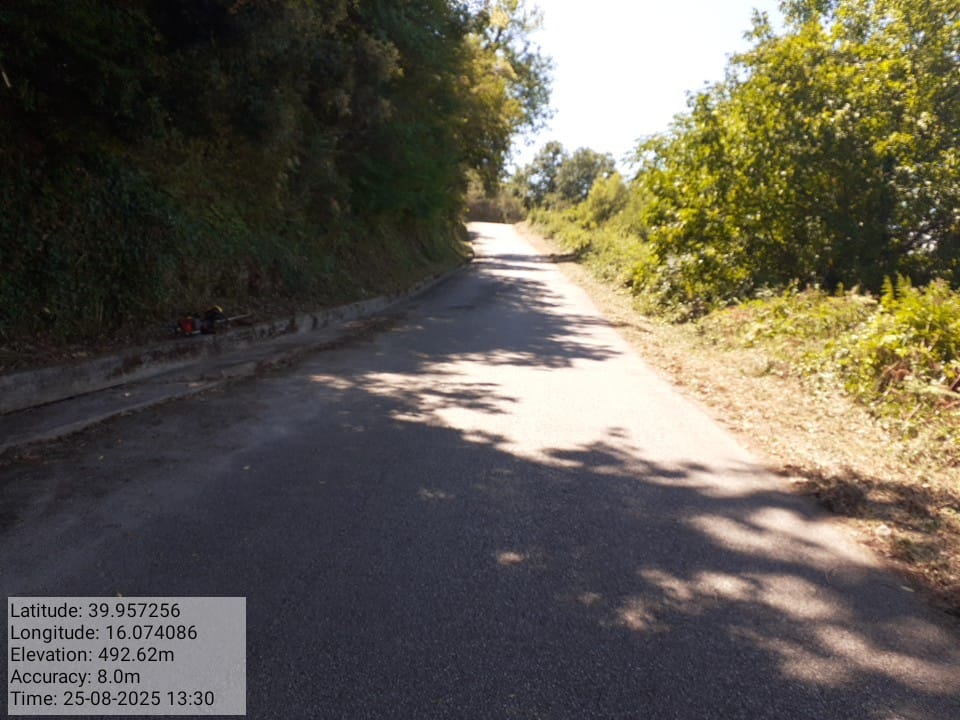 Galleria Fotografica Immagine