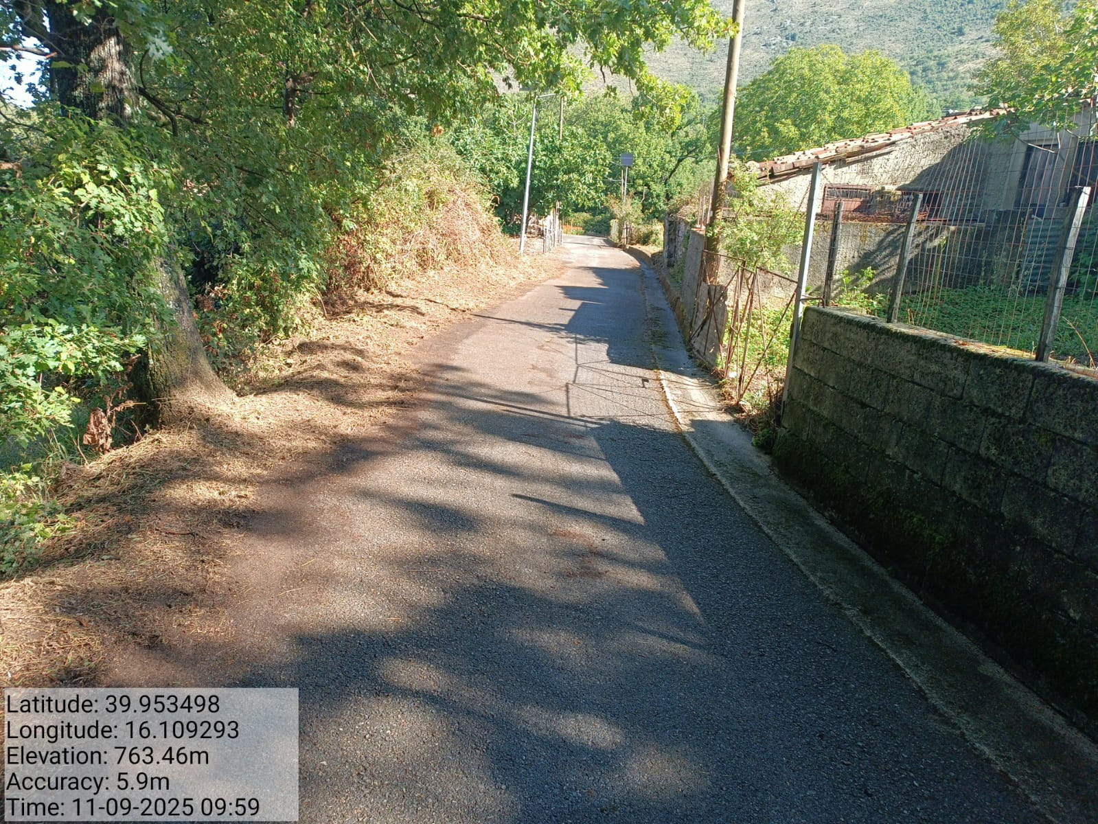 Galleria Fotografica Immagine