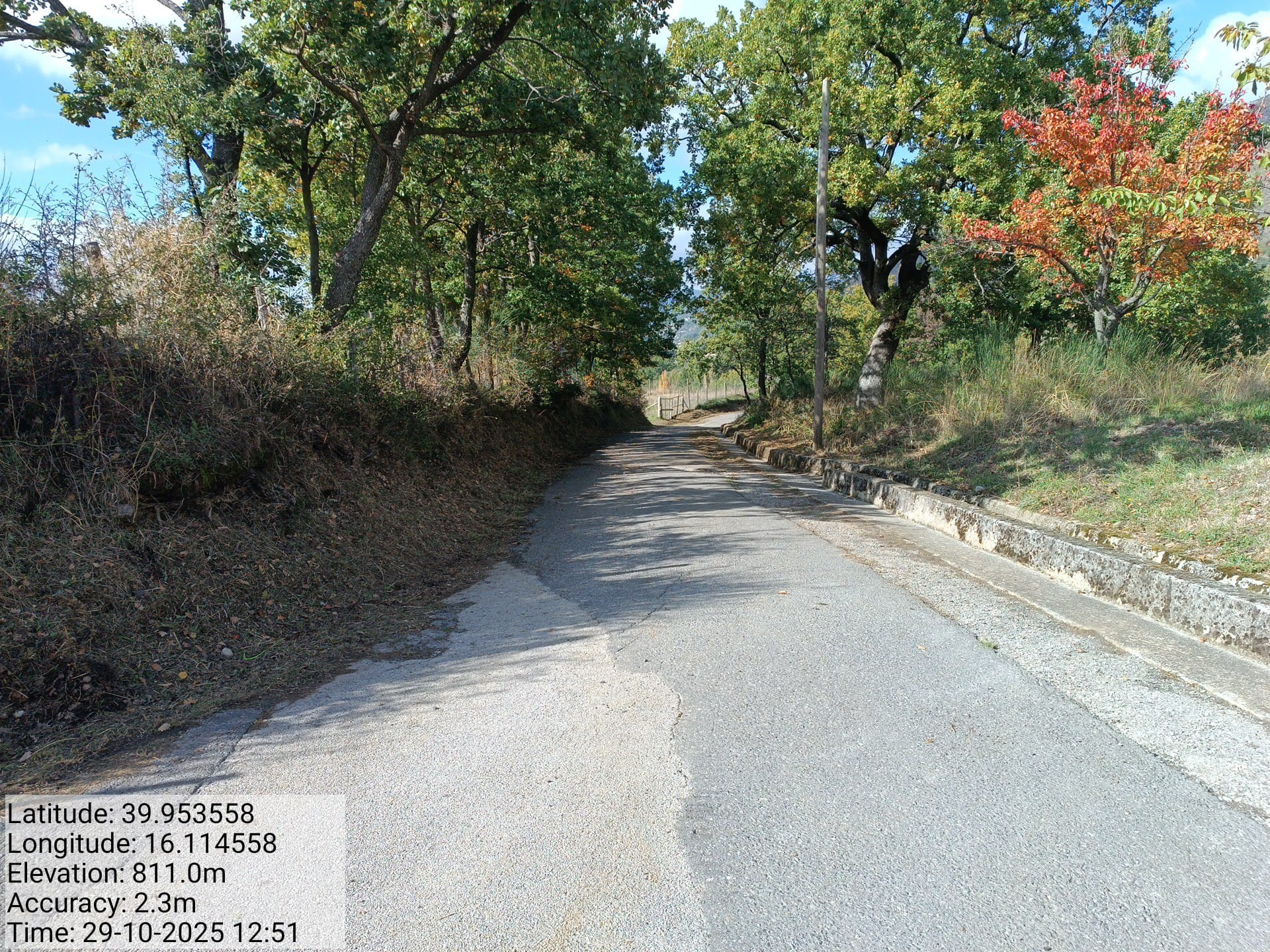 Galleria Fotografica Immagine