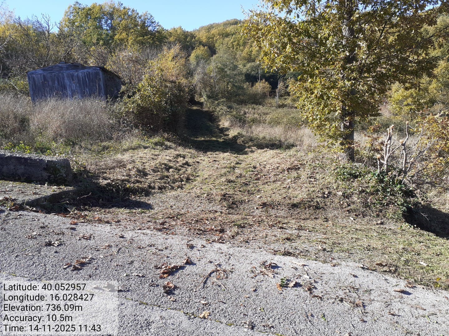 Galleria Fotografica Immagine