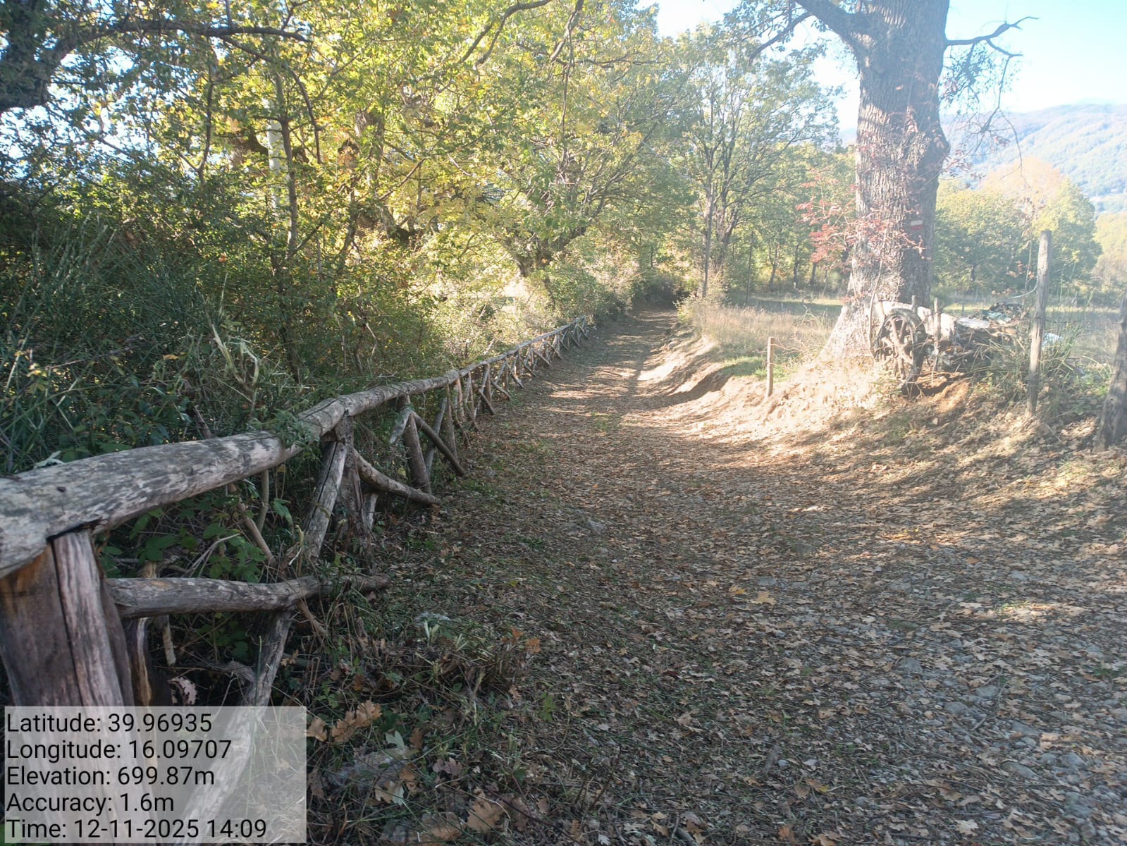 Galleria Fotografica Immagine