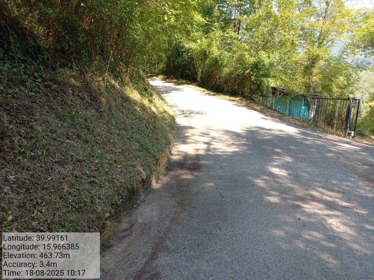 Galleria Fotografica Immagine