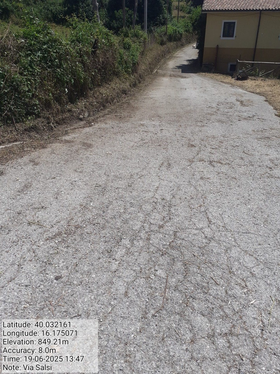 Galleria Fotografica Immagine