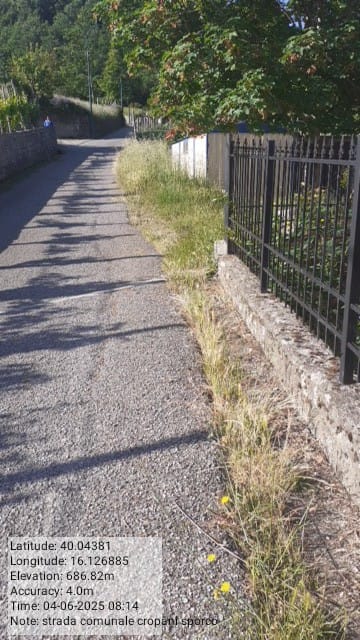 Galleria Fotografica Immagine