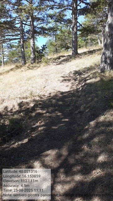 Galleria Fotografica Immagine