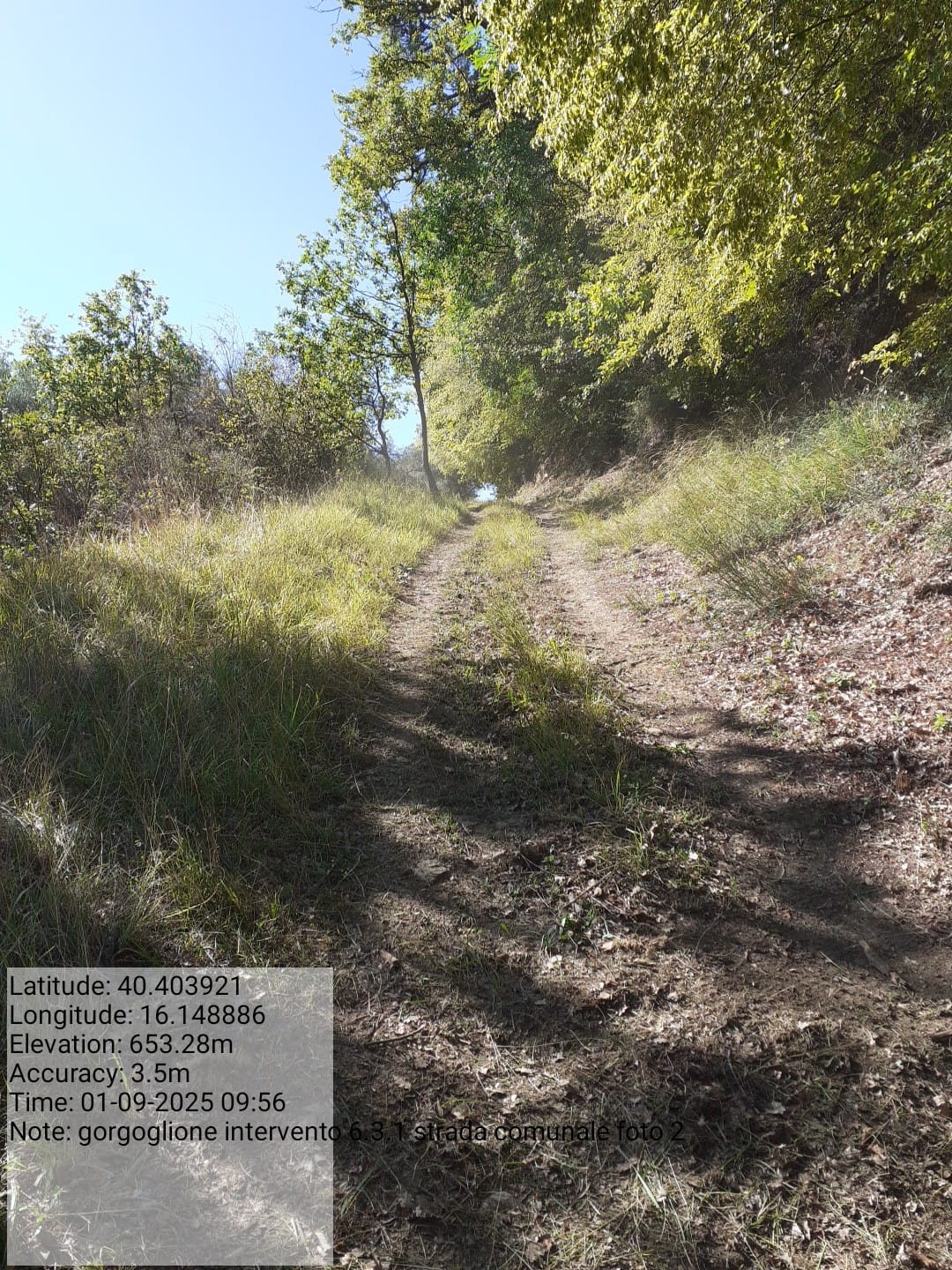 Galleria Fotografica Immagine