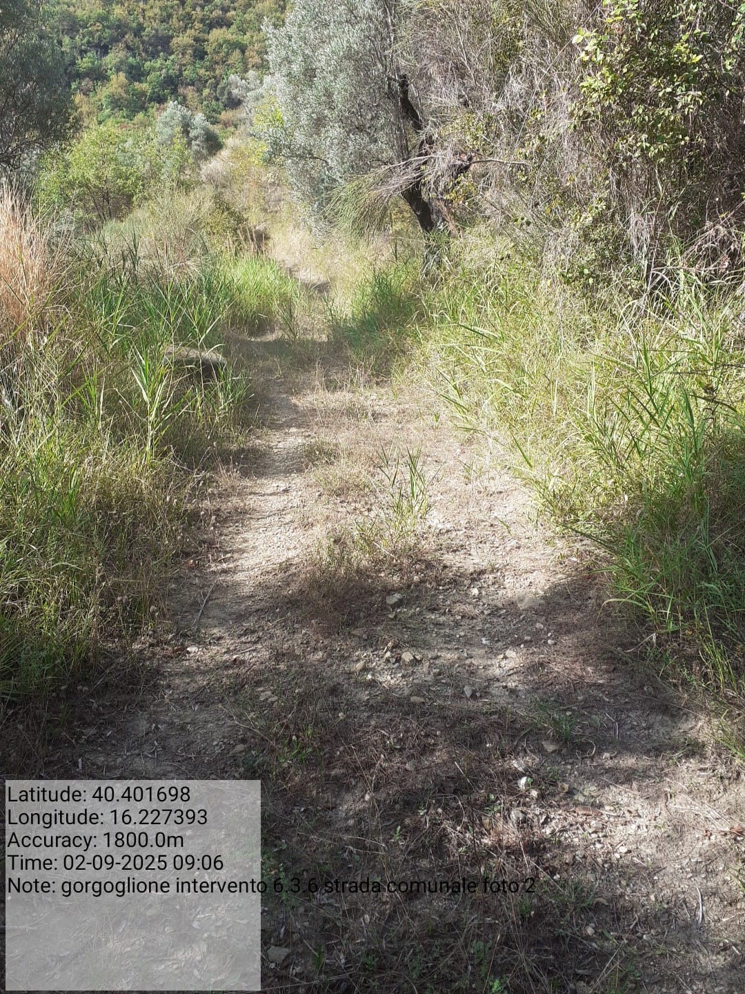 Galleria Fotografica Immagine