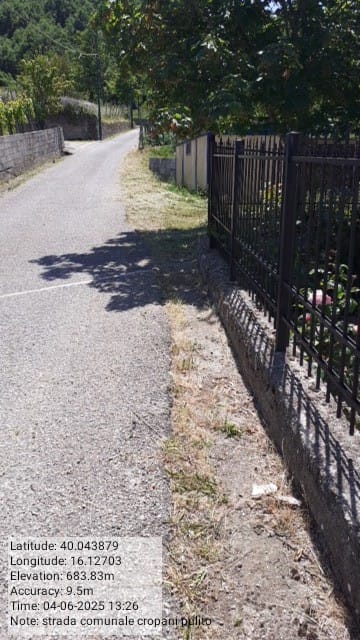 Galleria Fotografica Immagine