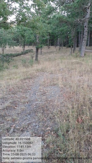 Galleria Fotografica Immagine