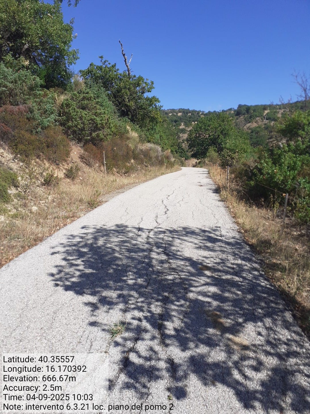 Galleria Fotografica Immagine