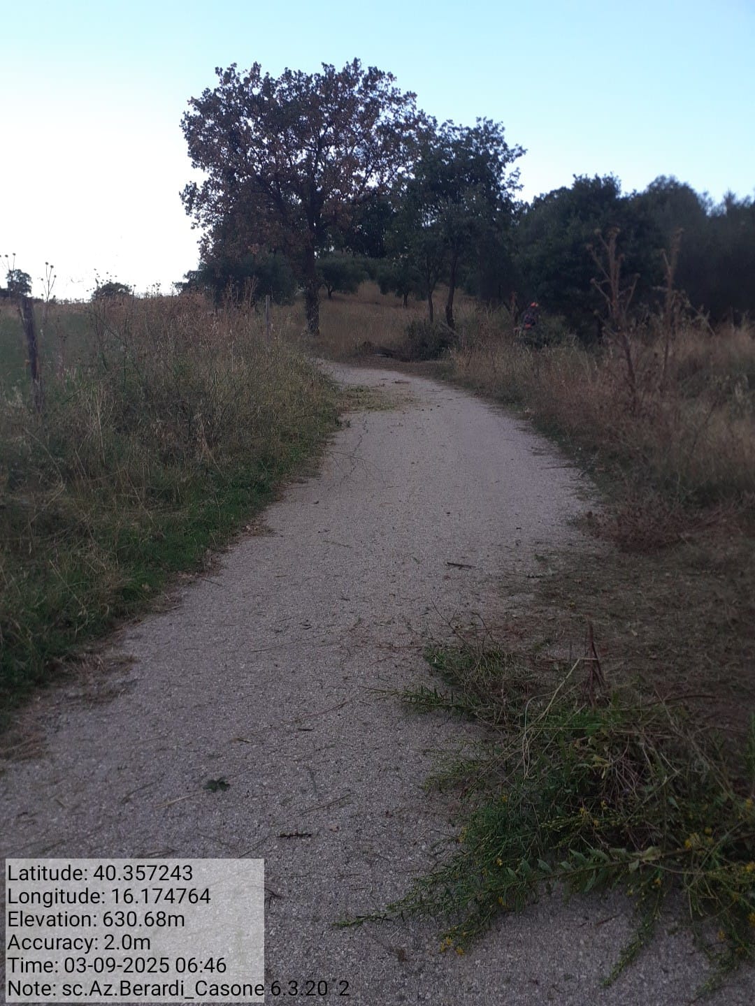 Galleria Fotografica Immagine