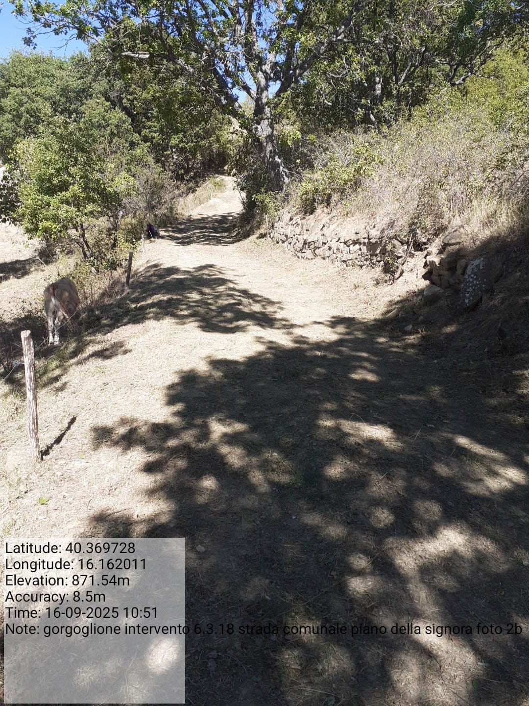 Galleria Fotografica Immagine