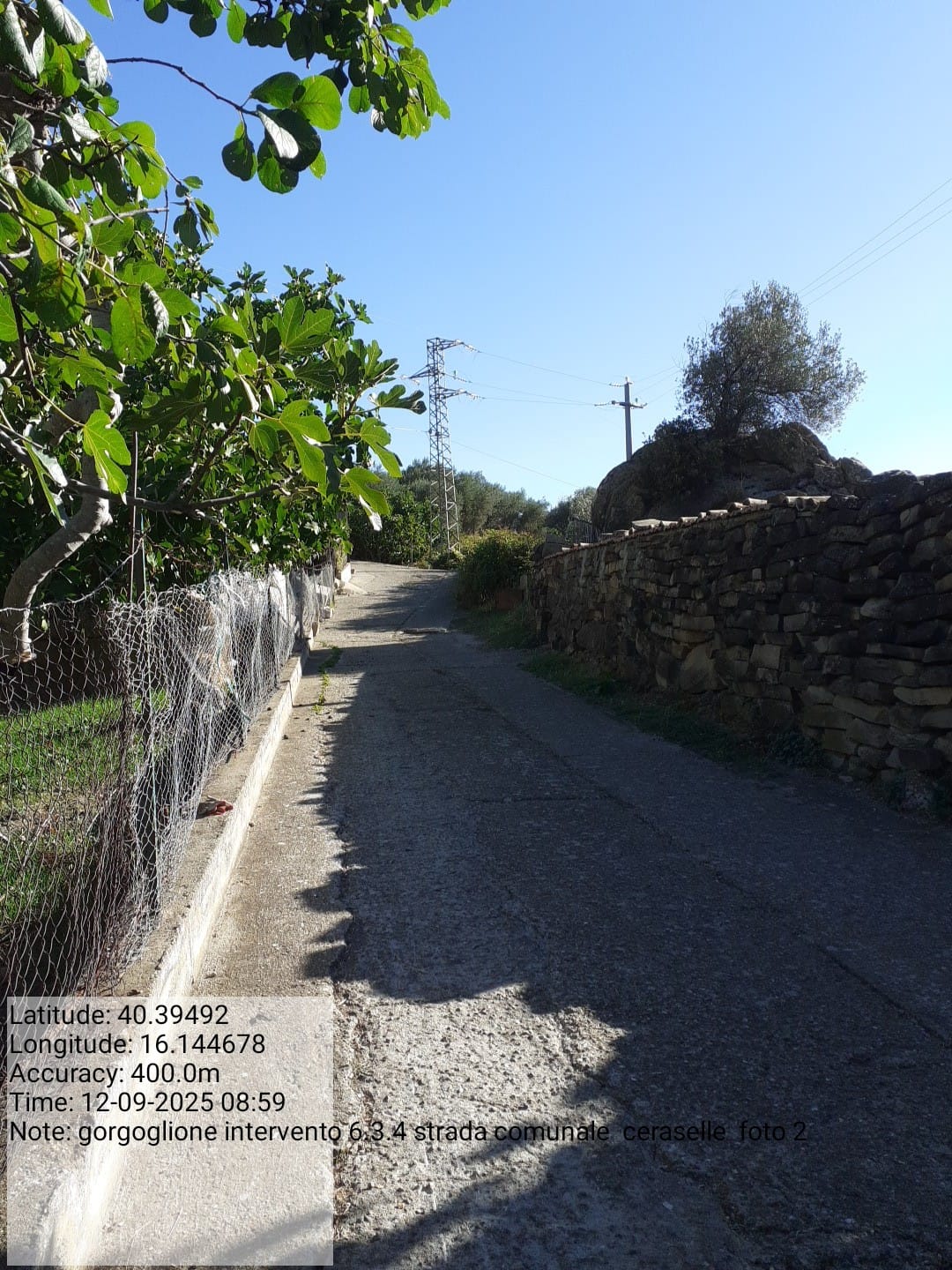 Galleria Fotografica Immagine