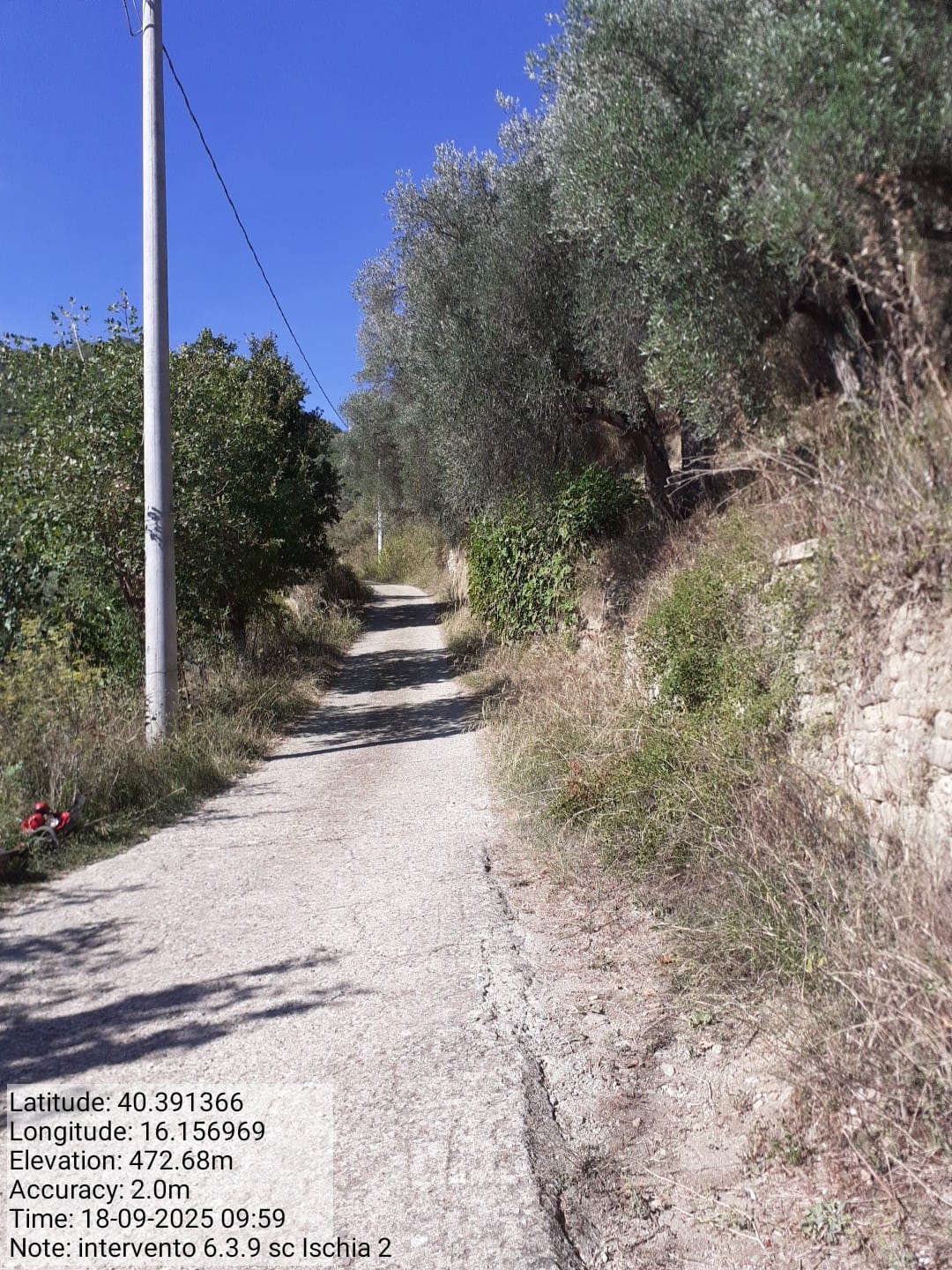 Galleria Fotografica Immagine