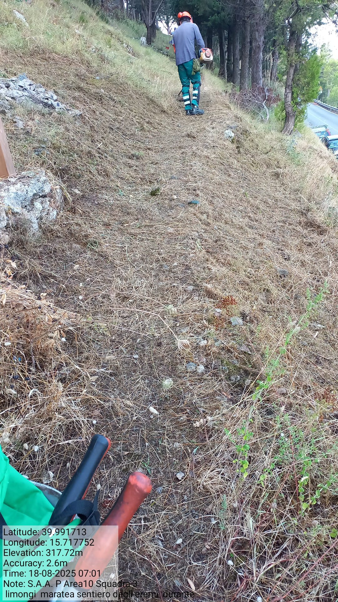 Galleria Fotografica Immagine