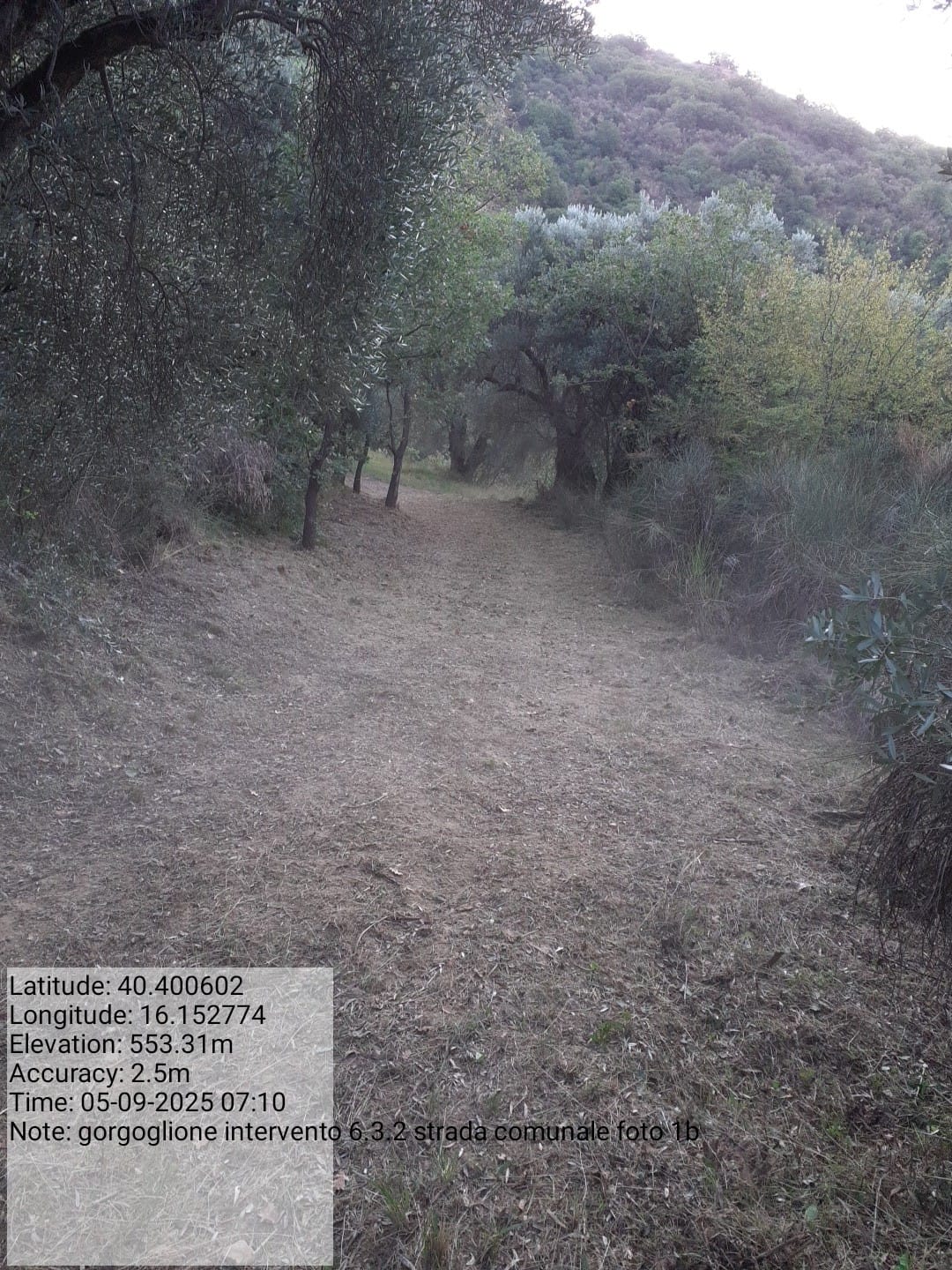 Galleria Fotografica Immagine