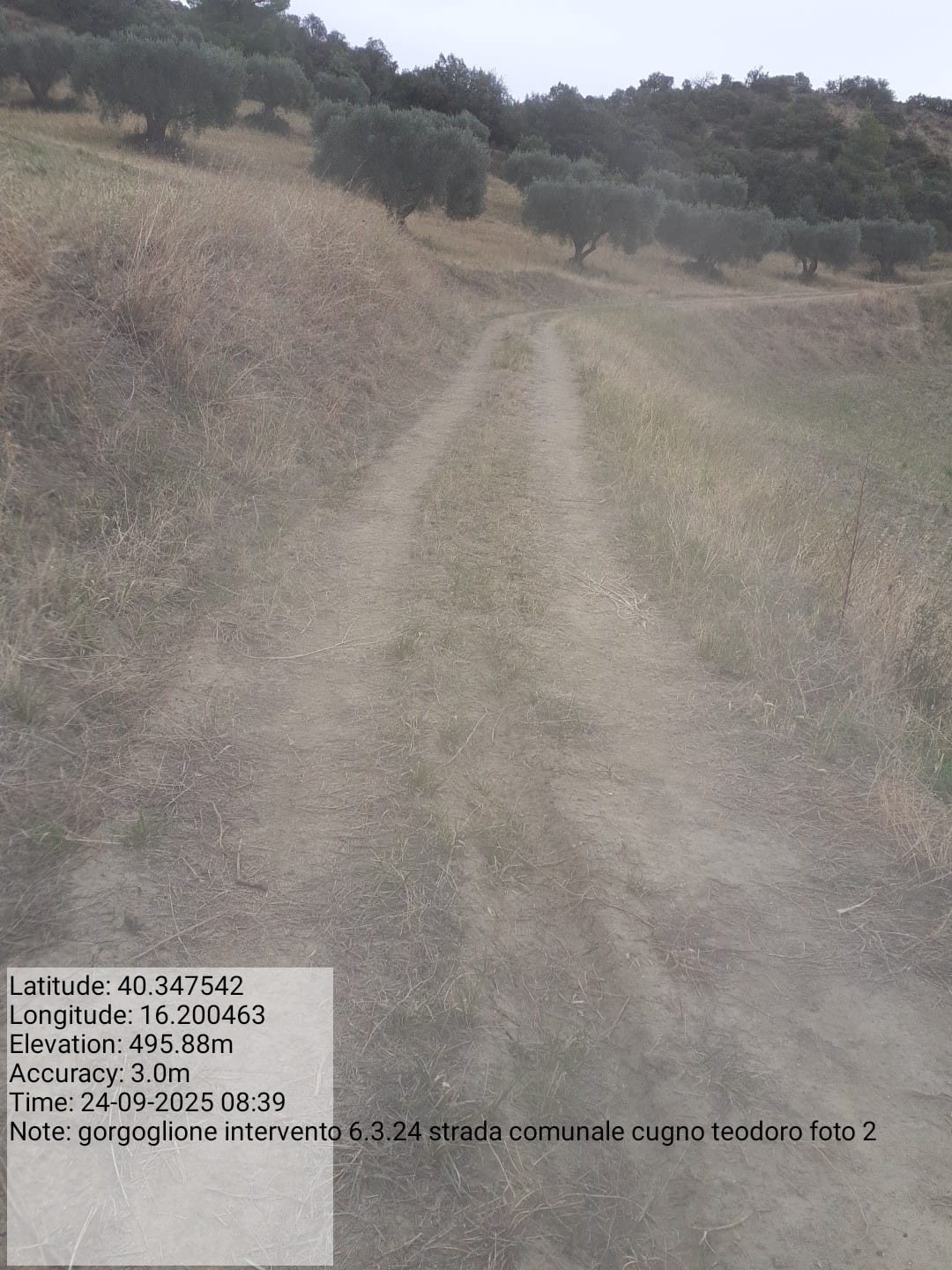 Galleria Fotografica Immagine