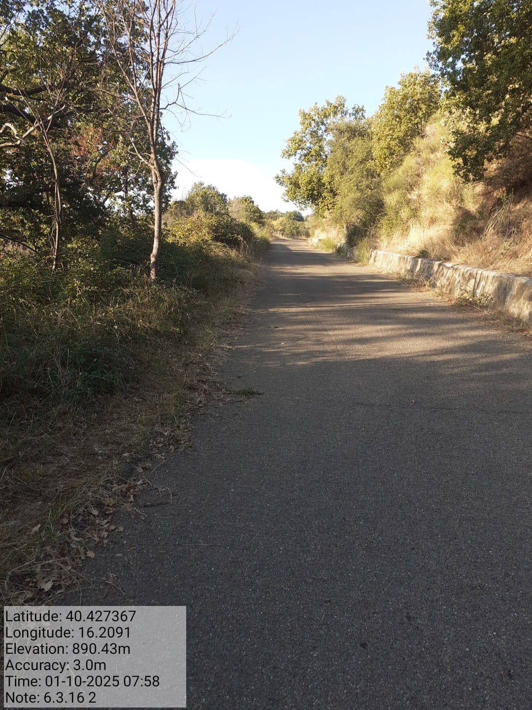 Galleria Fotografica Immagine