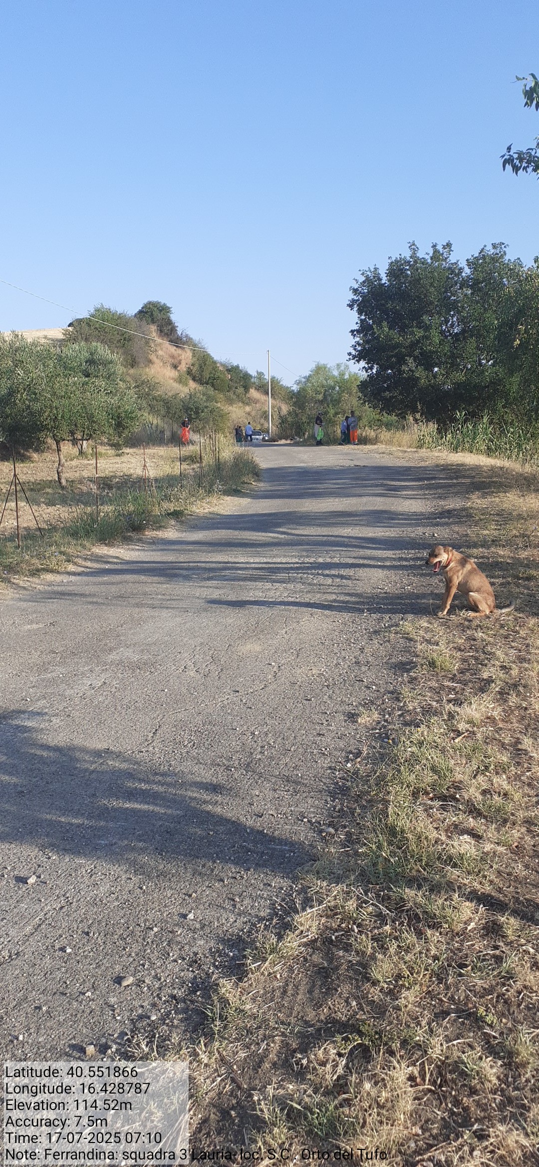 Galleria Fotografica Immagine