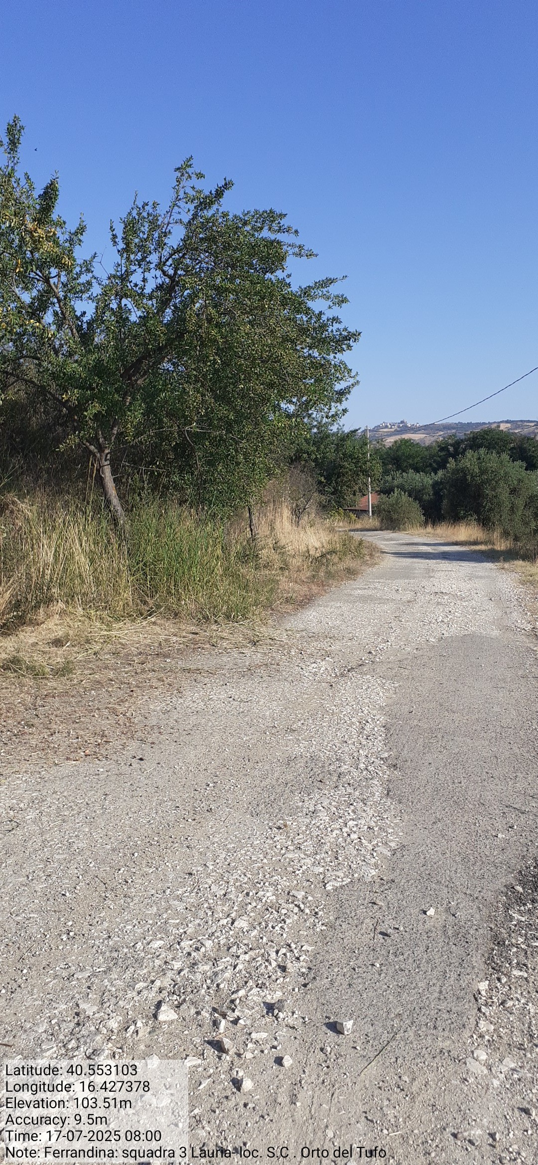 Galleria Fotografica Immagine