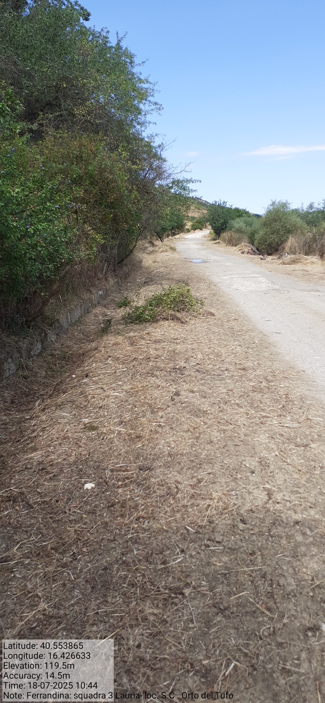 Galleria Fotografica Immagine