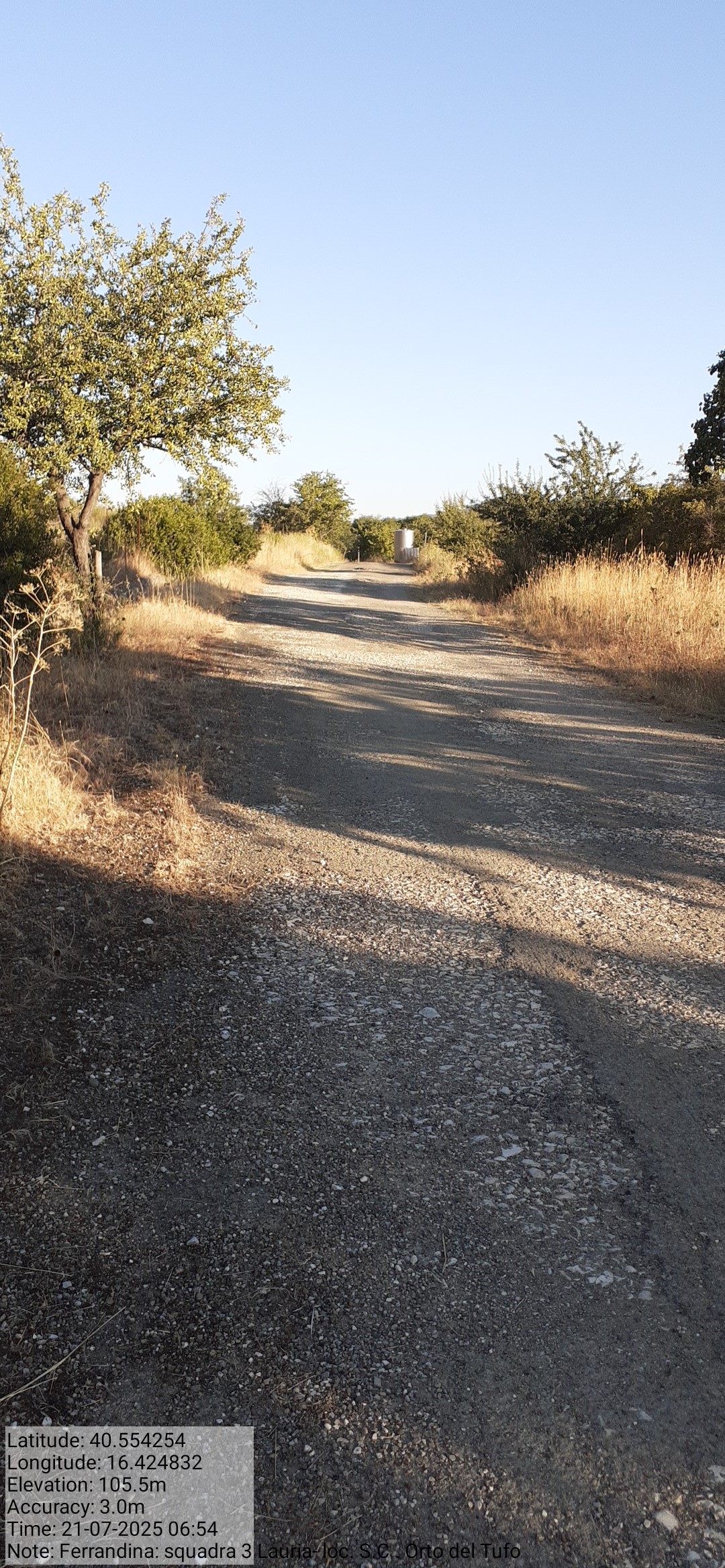 Galleria Fotografica Immagine