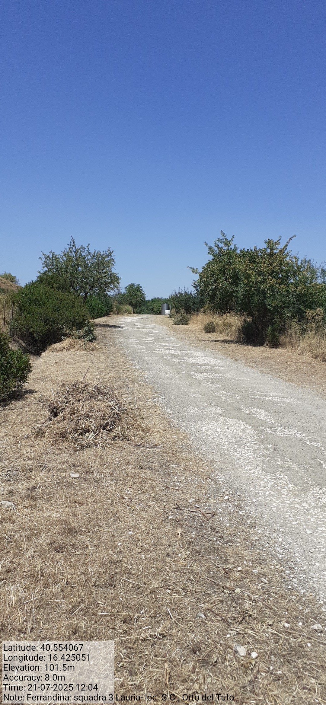 Galleria Fotografica Immagine