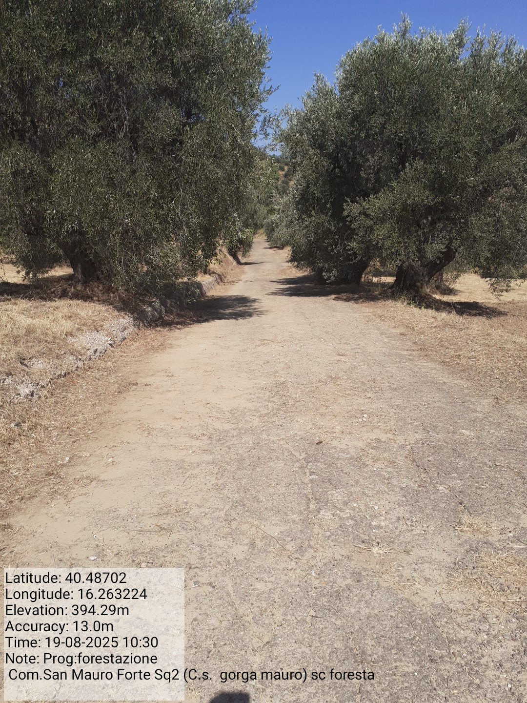 Galleria Fotografica Immagine