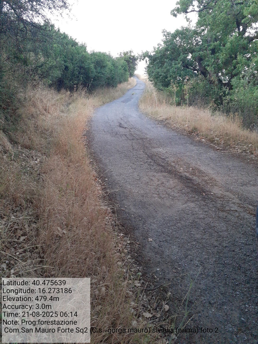 Galleria Fotografica Immagine