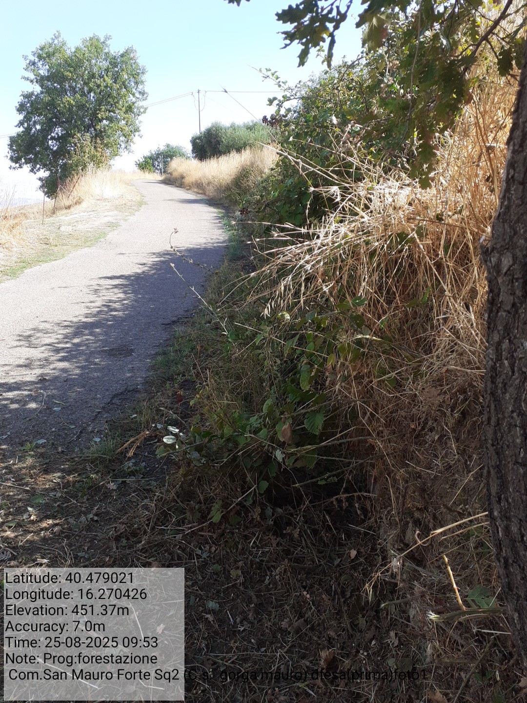 Galleria Fotografica Immagine