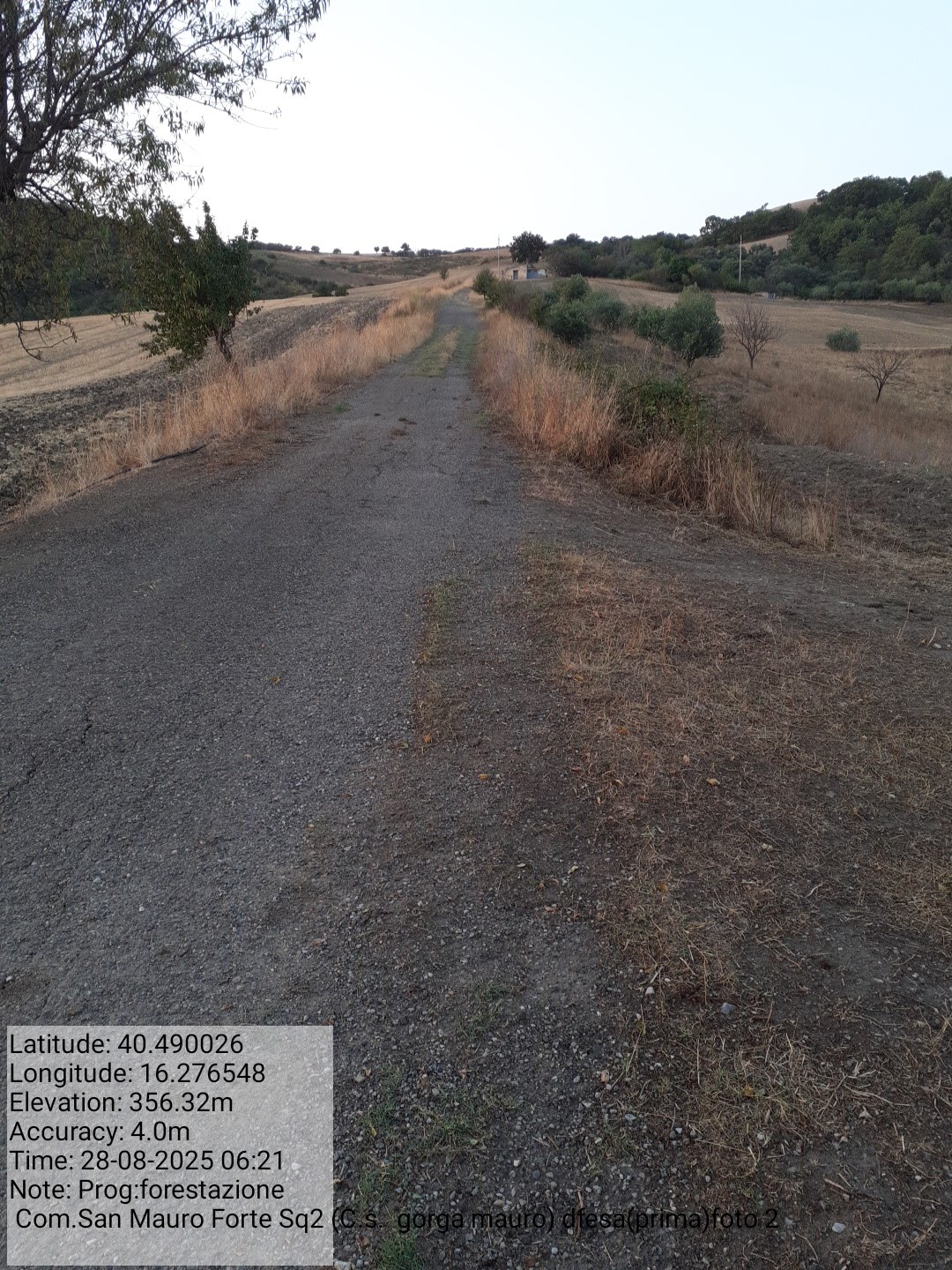 Galleria Fotografica Immagine