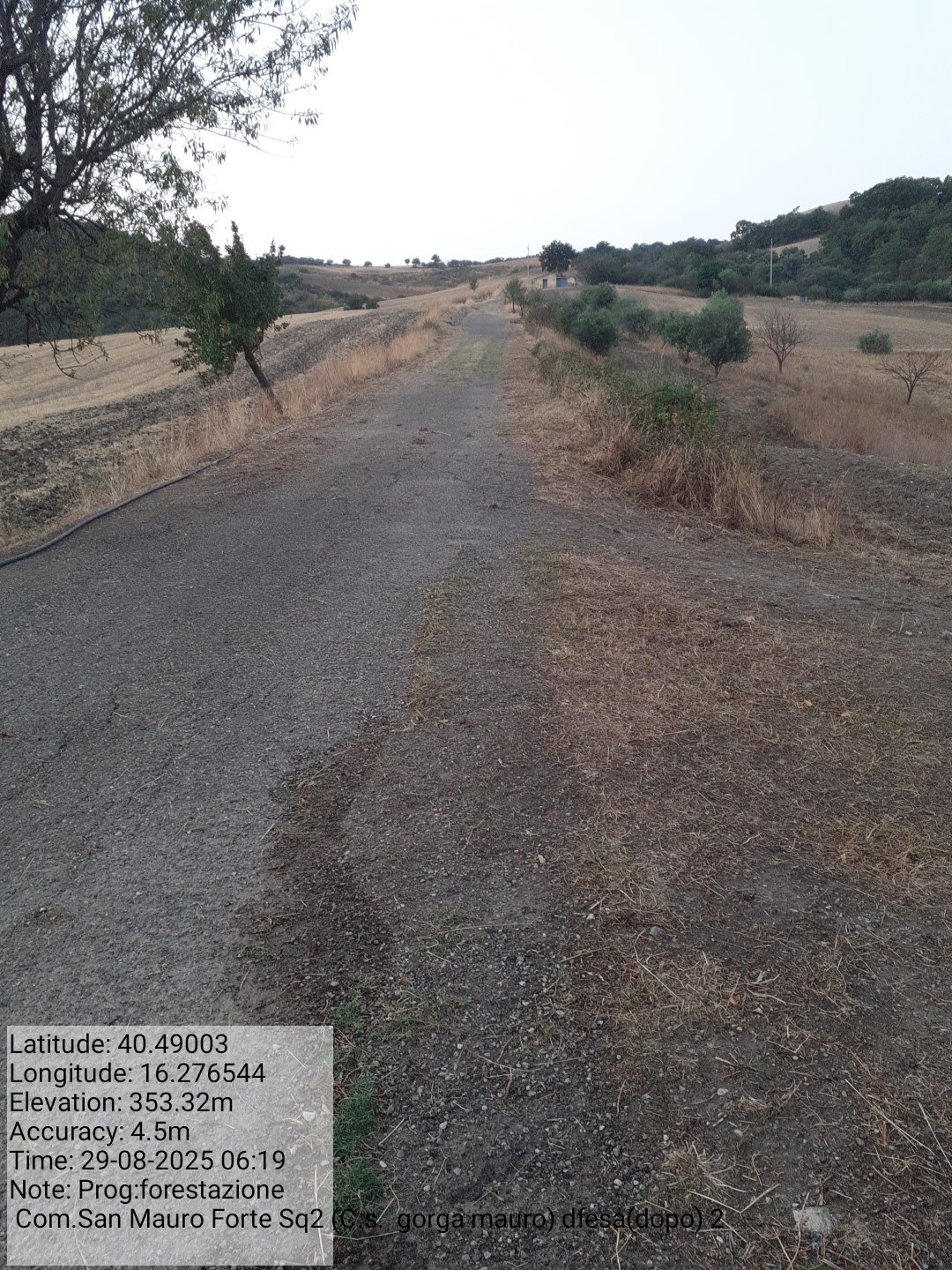 Galleria Fotografica Immagine