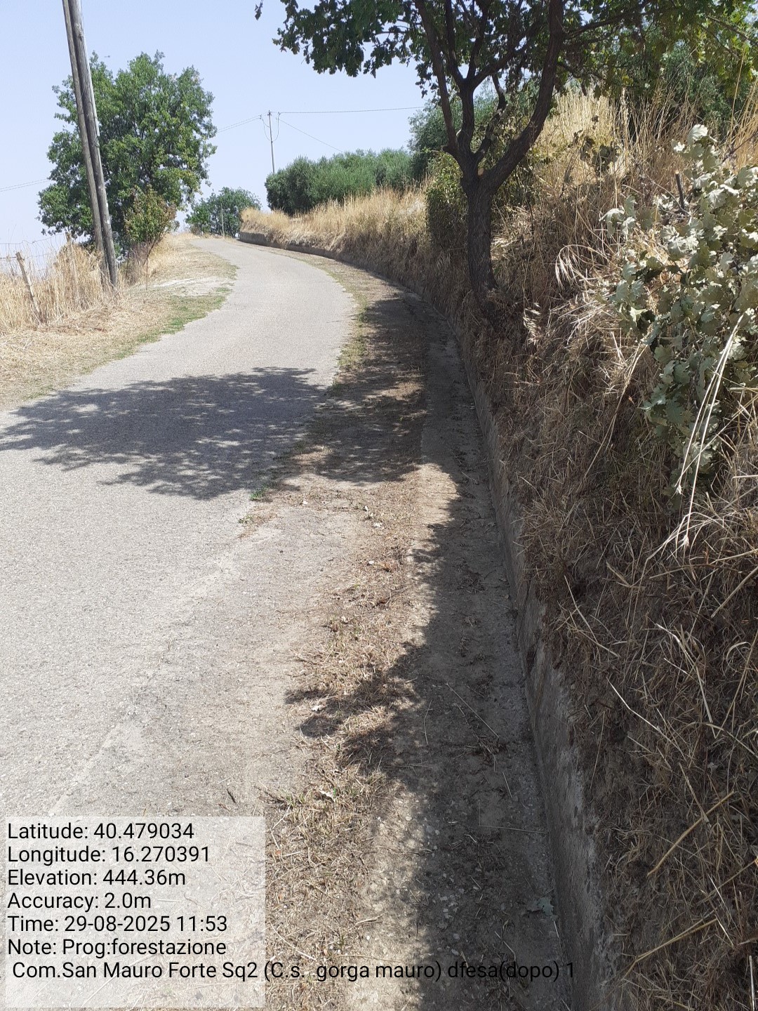 Galleria Fotografica Immagine