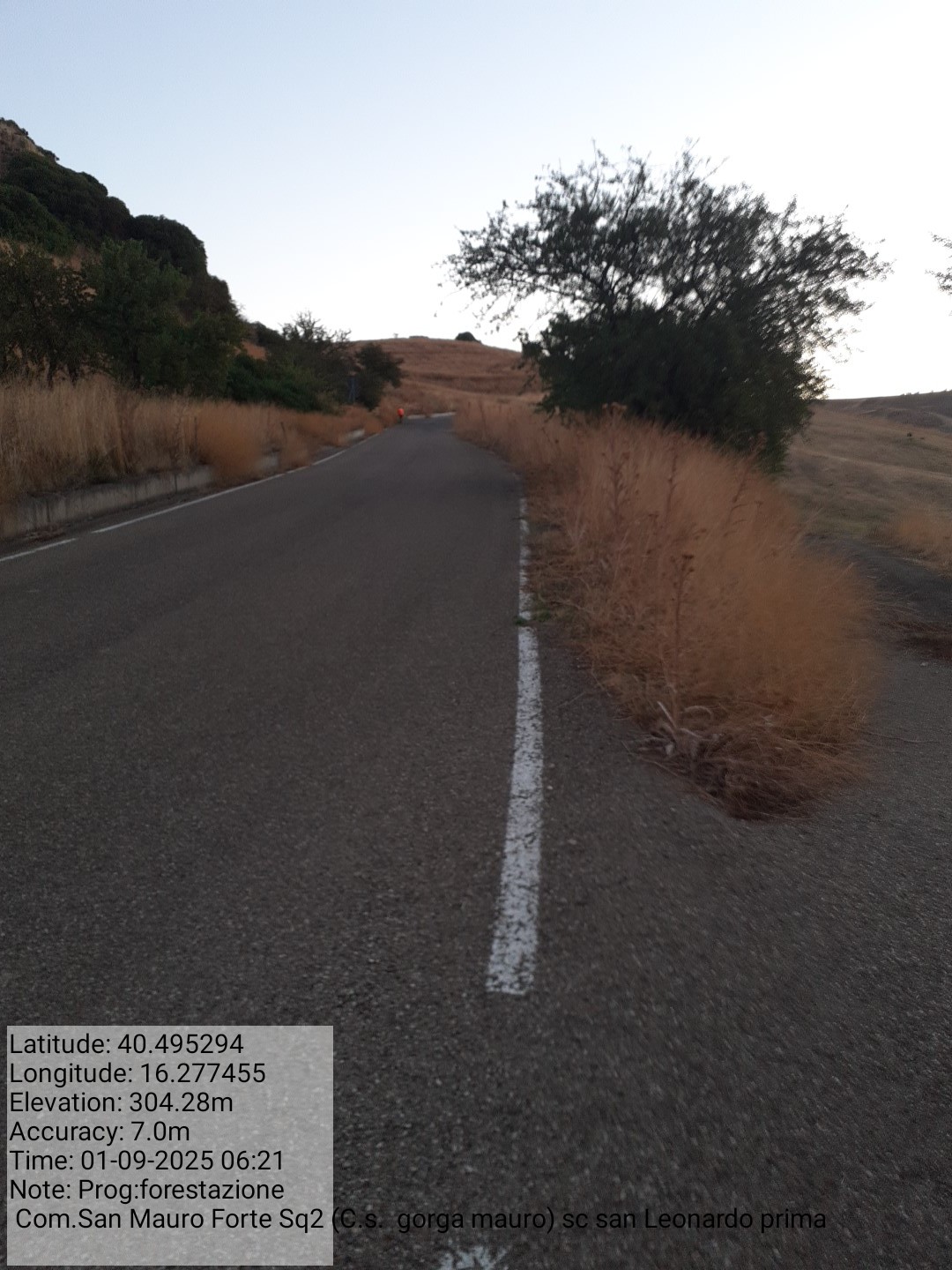 Galleria Fotografica Immagine