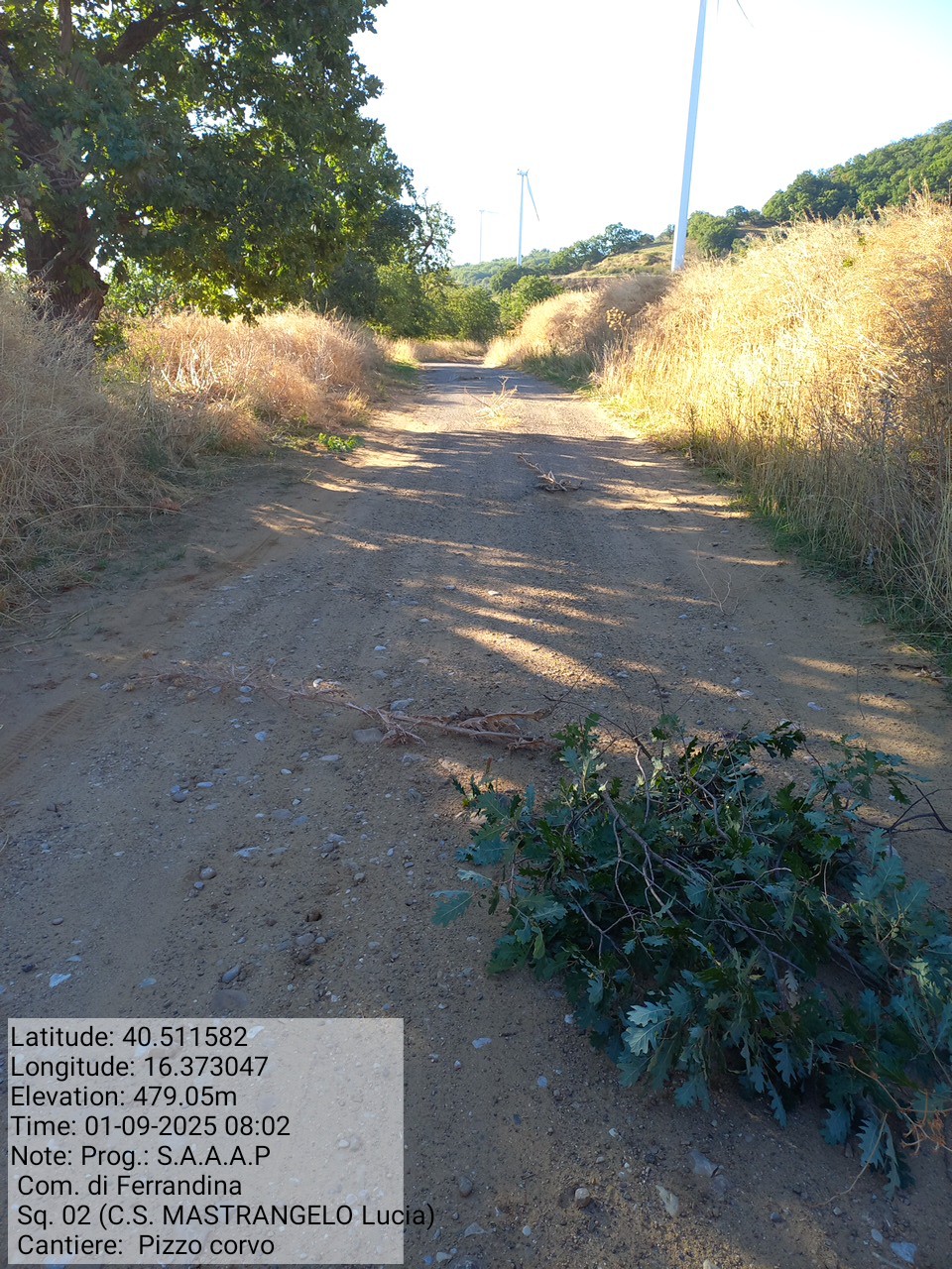 Galleria Fotografica Immagine