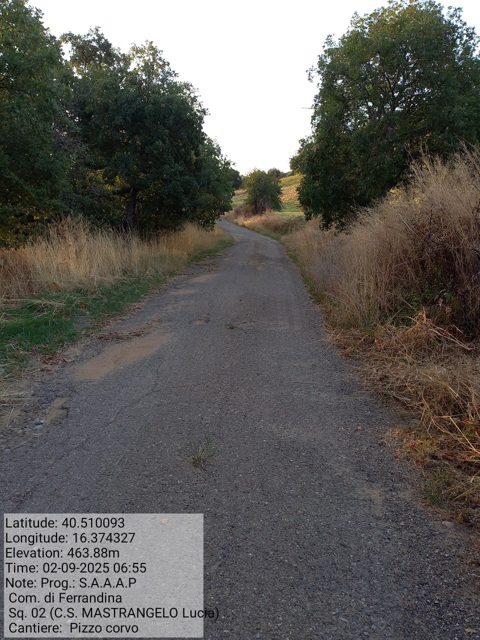 Galleria Fotografica Immagine