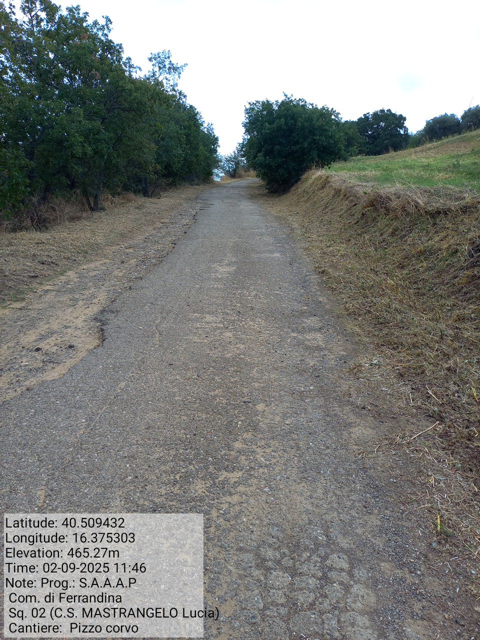 Galleria Fotografica Immagine